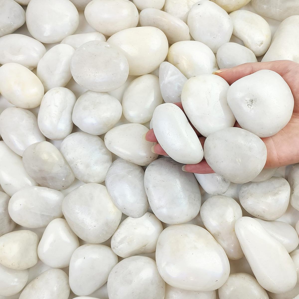 FANTIAN white river rocks for planters with 2-3 inch size and natural texture.