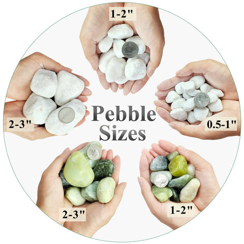 FANTIAN white rocks for indoor plants and terrariums, clean and decorative
