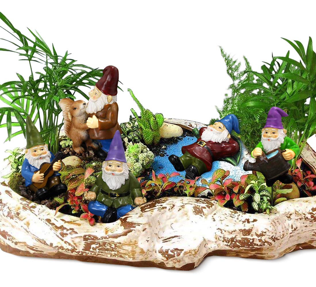 FANWNKI gnomes playing guitar adds whimsical backyard ambience