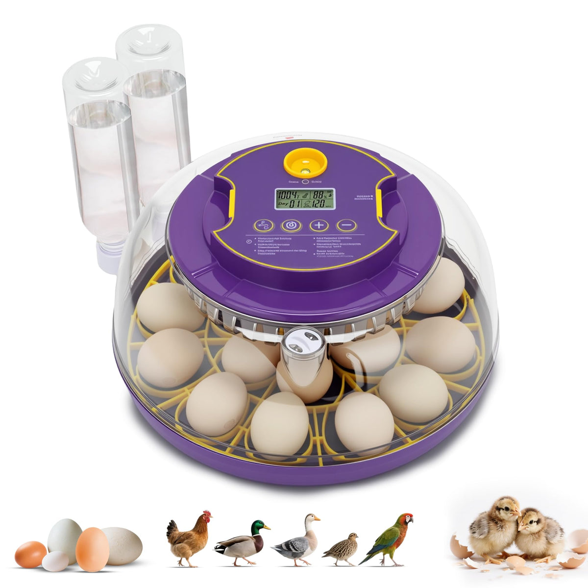 Fanxier 18-egg incubator with automatic turning supports even heat distribution for hatch success.