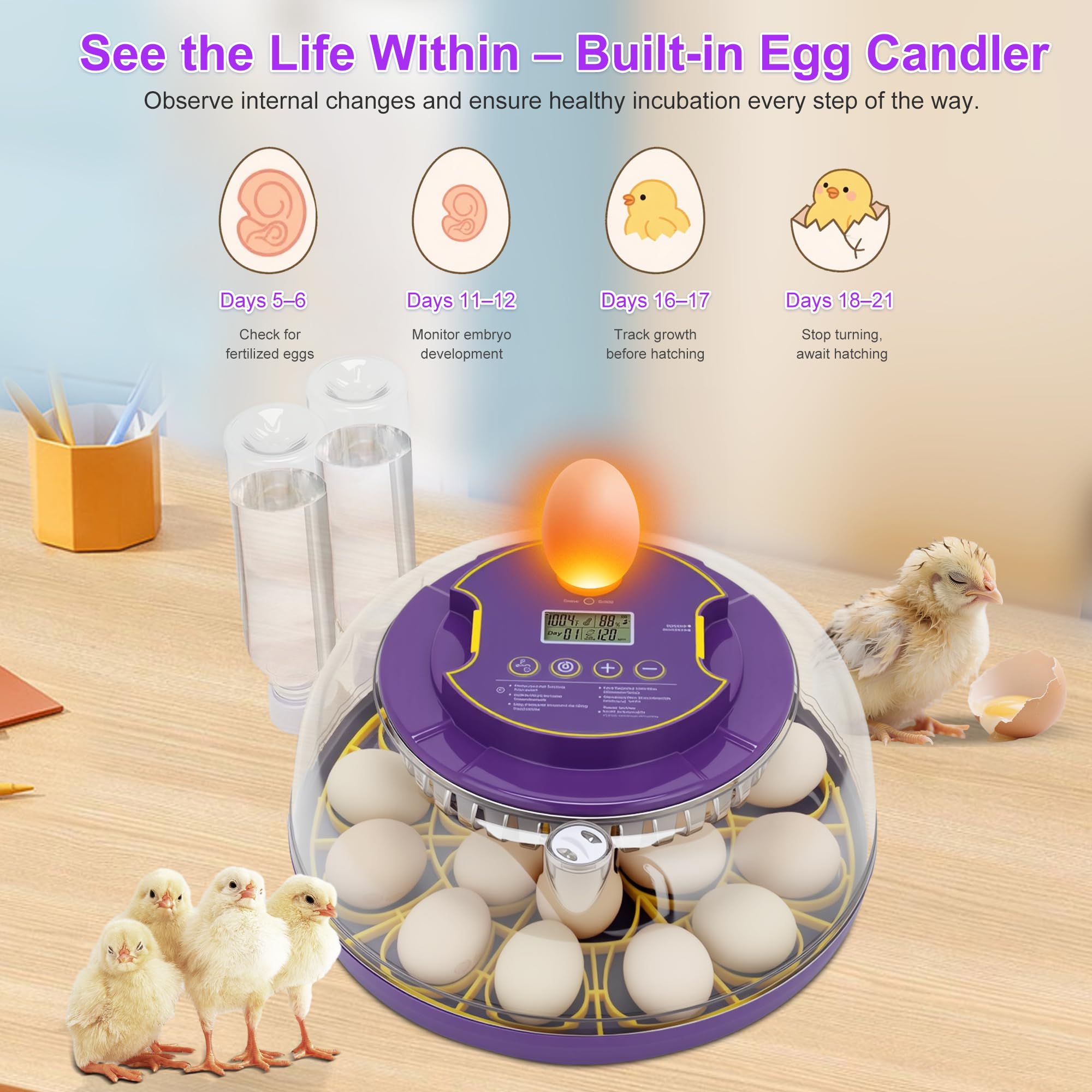 Fanxier 18-egg incubator energy-efficient design reduces power consumption over time.