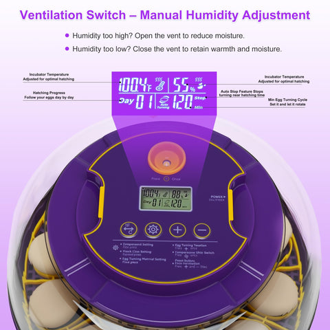 Fanxier incubator high-visibility dome with optimized ventilation for stable environment.