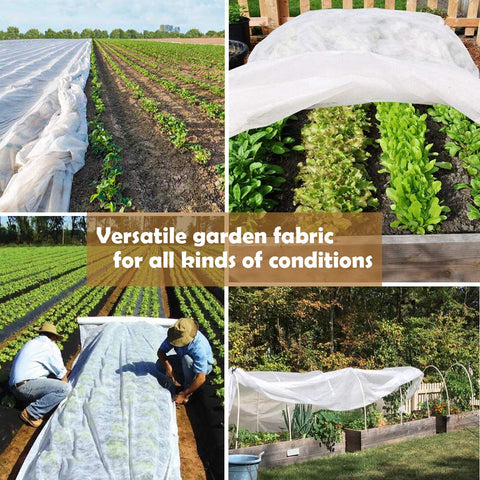 FARAER cover protects from birds and pests while keeping plants warm.