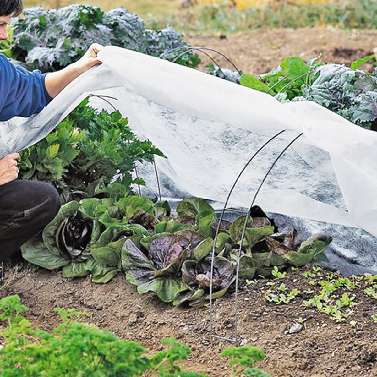 FARAER plant cover cut to fit rows for precise coverage and airflow.