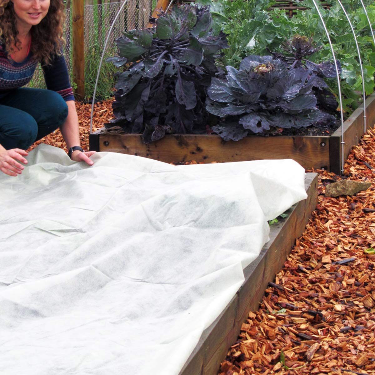 FARAER plant cover protects perennials and herbs during cold snaps.