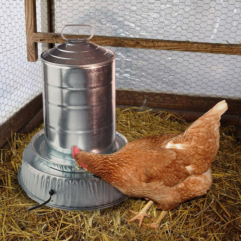 Farm Innovators HP-125 freeze-prevention keeps water unfrozen in cold conditions.
