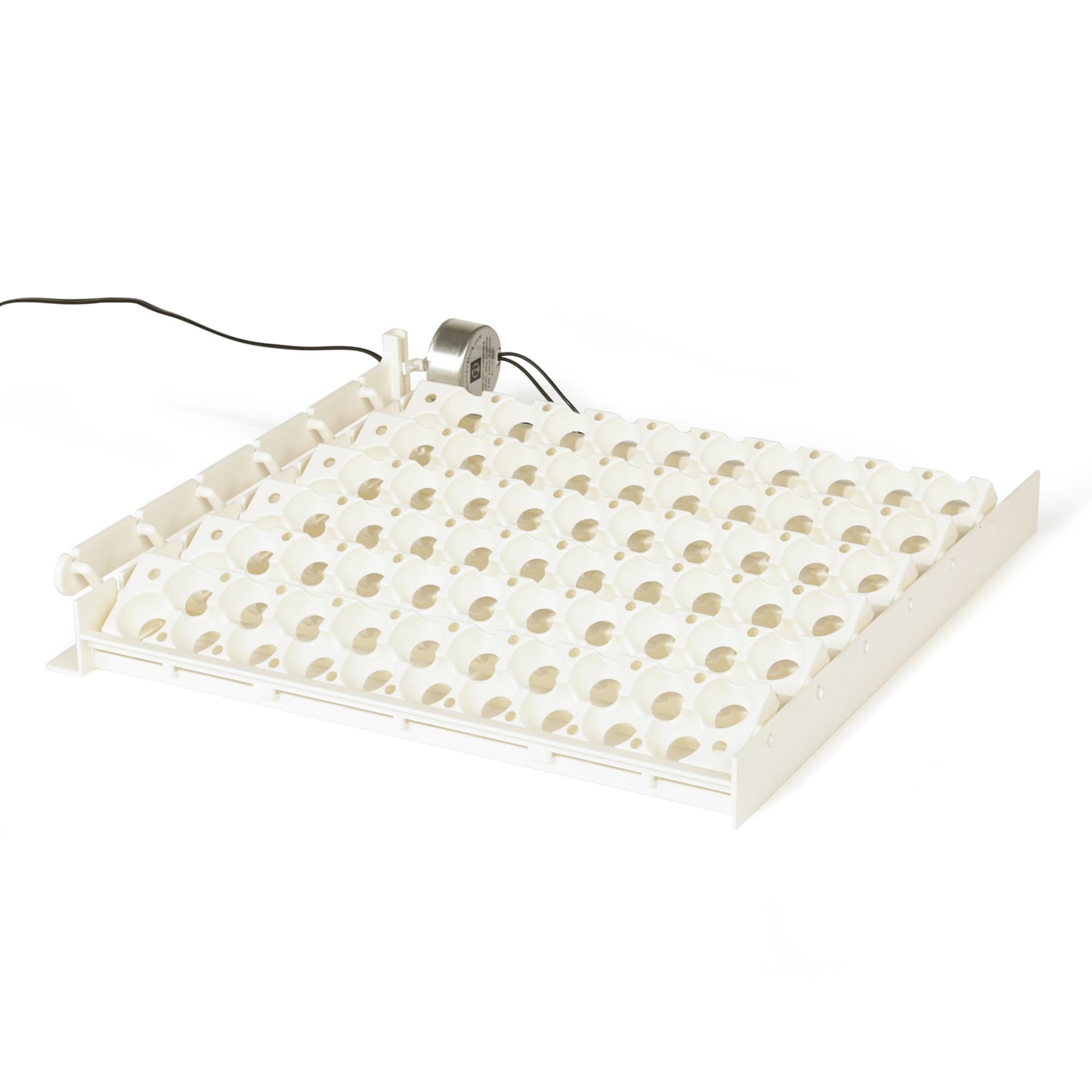 Farm Innovators interchangeable rails for multiple flocks, adaptable incubation.