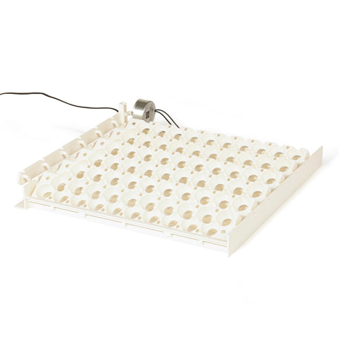 Farm Innovators interchangeable rails for multiple flocks, adaptable incubation.