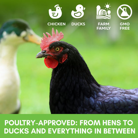 Farm Party labeling highlights non-GMO blend for responsible chicken care.