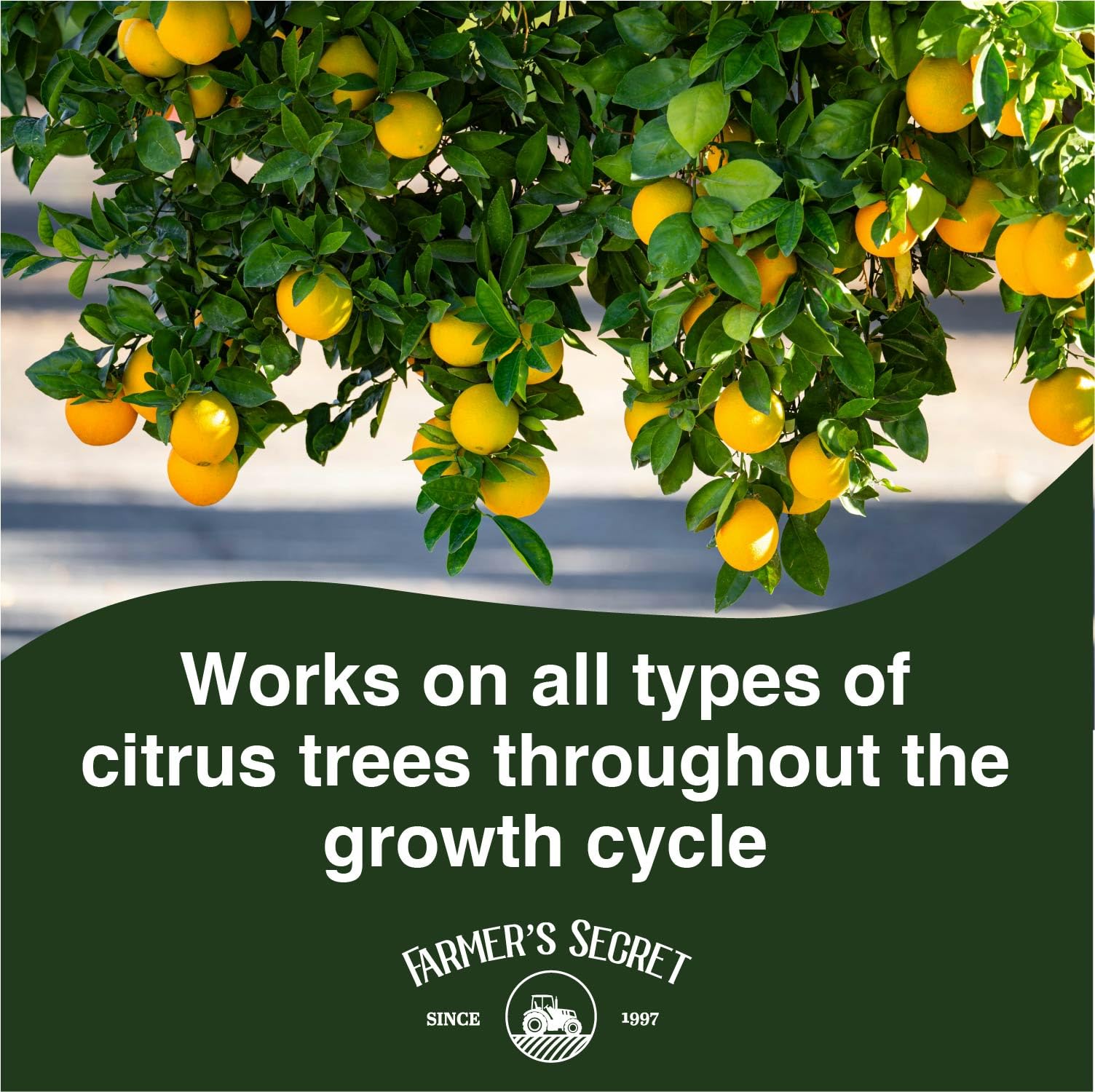 Farmer's Secret Citrus Tree Booster dilution scene shows easy measurement for feeding