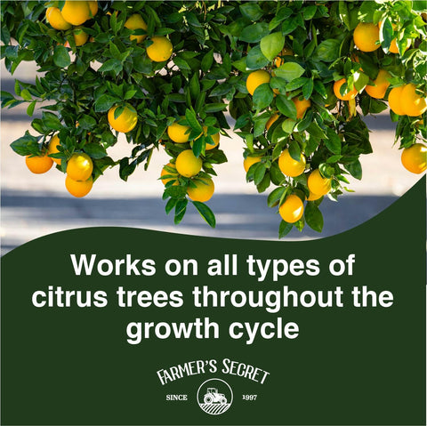 Farmer's Secret Citrus Tree Booster dilution mix ready for weekly feed
