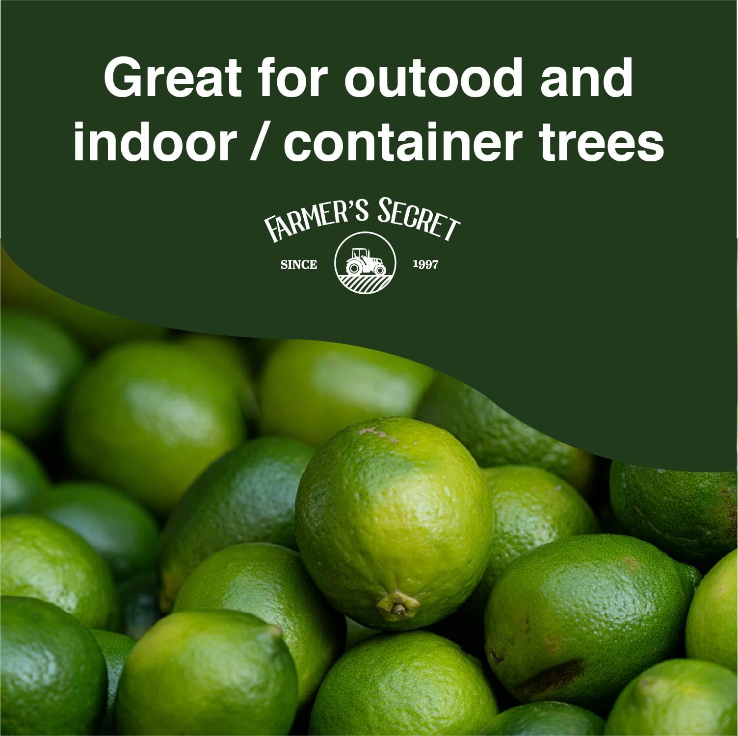 Farmer's Secret Citrus Tree Booster healthy leaves and promising fruit on citrus trees