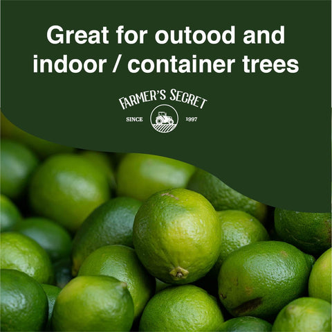 Farmer's Secret Citrus Tree Booster healthy leaves and promising fruit on citrus trees