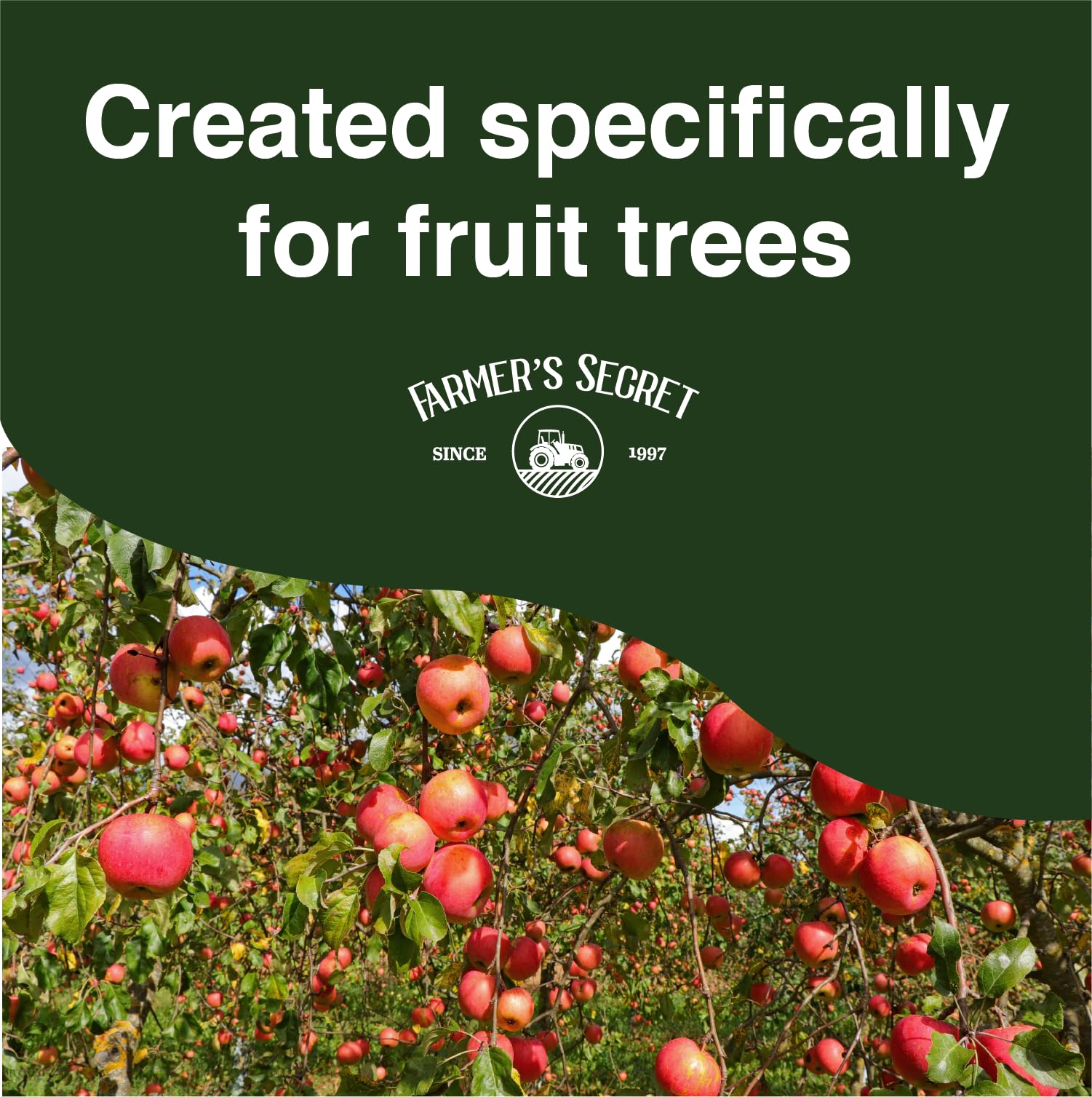 In early seasons, feeding up to five teaspoons weekly supports growth.