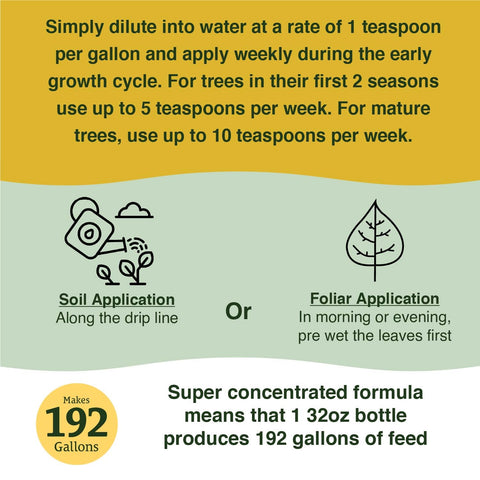 A mature tree receiving up to ten teaspoons weekly supports ongoing vigor.