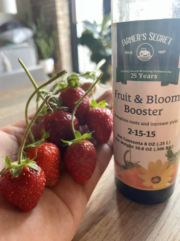 Farmer's Secret Kentucky-made garden care bottle supports consistent garden results.