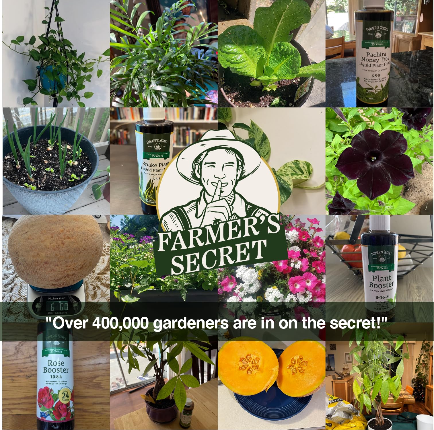 Farmer’s Secret Liquid Iron proudly made in Kentucky for gardens and turf.