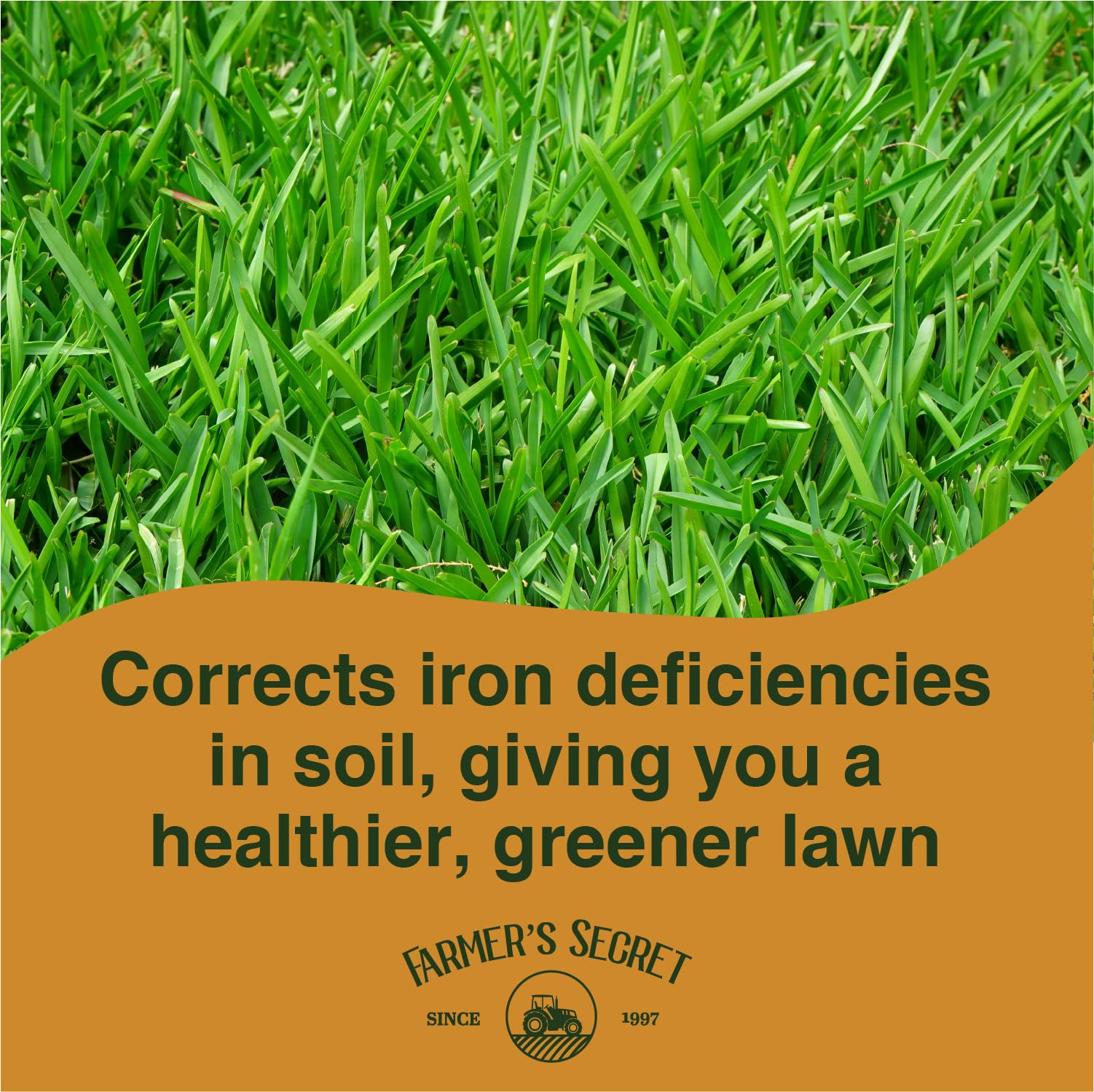 Liquid iron blended with all-purpose lawn feeder for balanced nutrition.