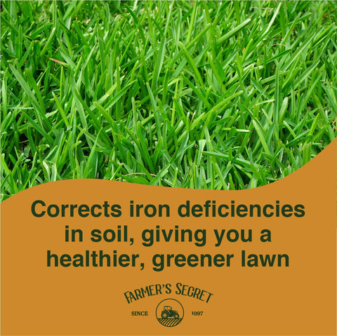 Liquid iron blended with all-purpose lawn feeder for balanced nutrition.