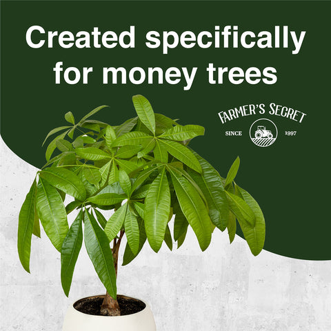 Farmer's Secret Money Tree liquid fertilizer dilution-instructions simplify weekly feeding.