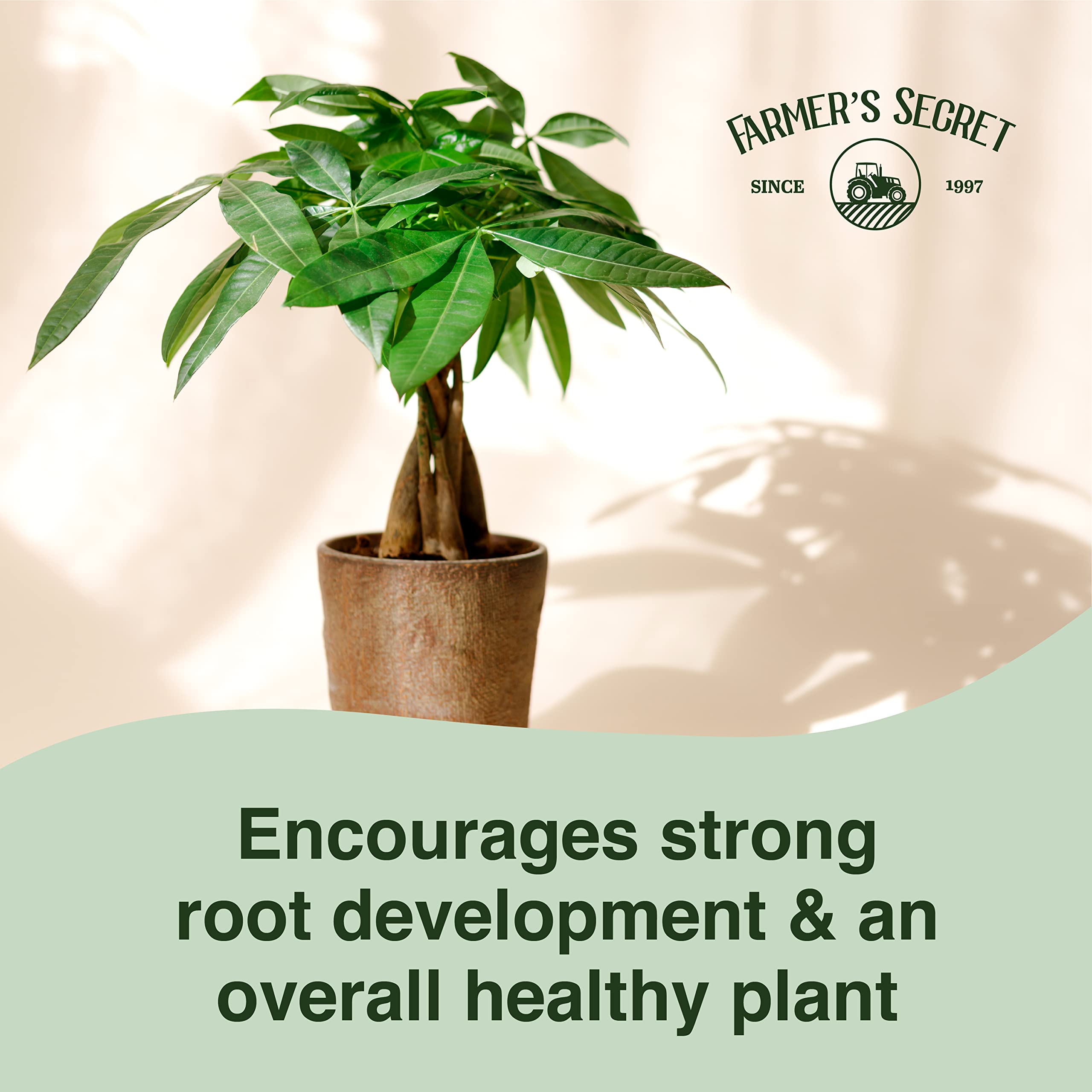 Farmer's Secret Money Tree liquid food for young-plants supports early root health.