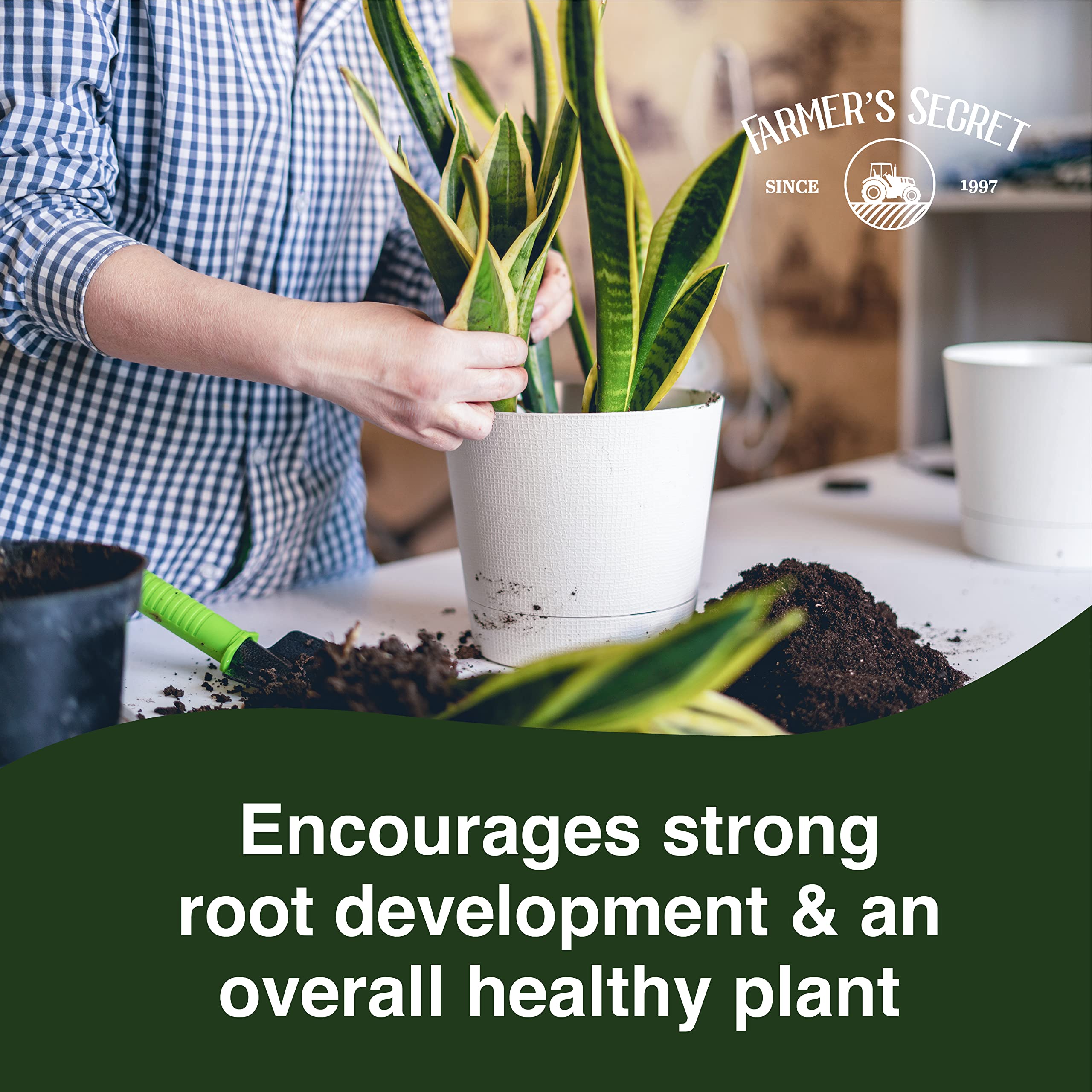 Close-up shows thriving roots with Farmer’s Secret nutrients.