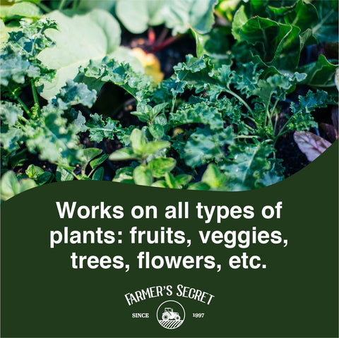 Flowers showcase stronger foliage, supporting earlier readiness for blooms.