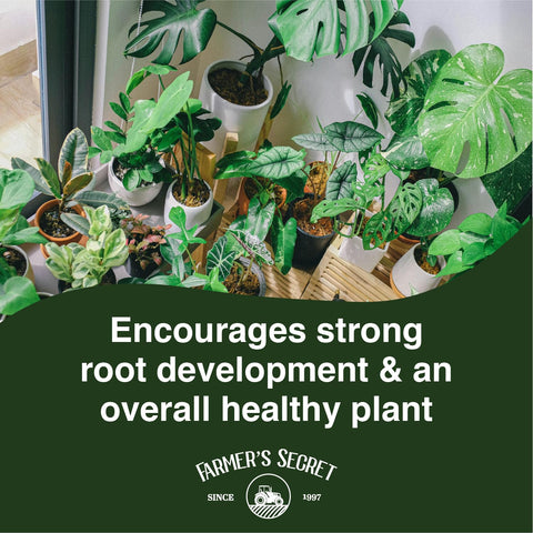 Farmer's Secret weekly-care-action supports steady growth for tropical plants.
