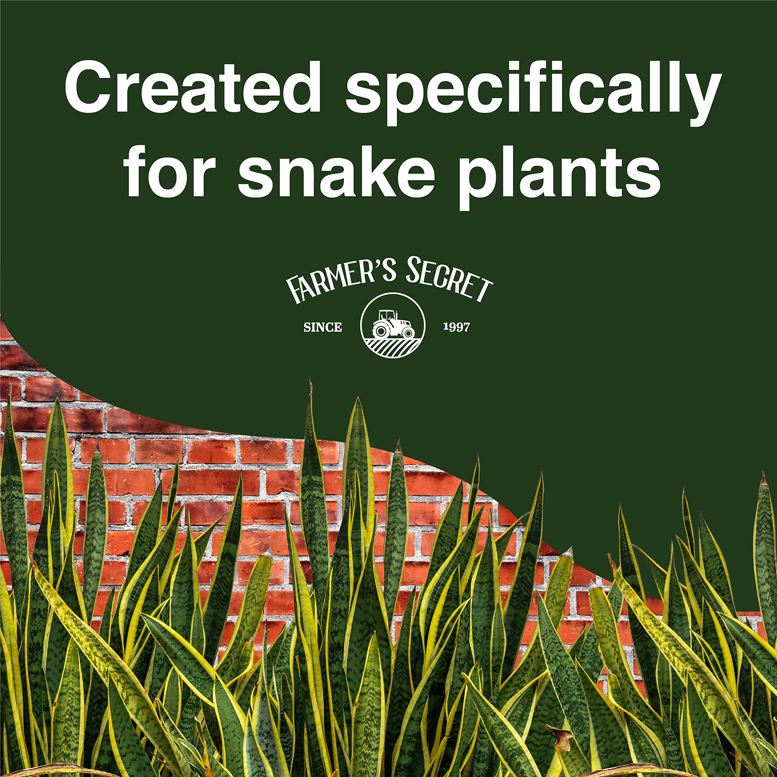 Weekly watering mix delivers steady nutrients for healthy growth.