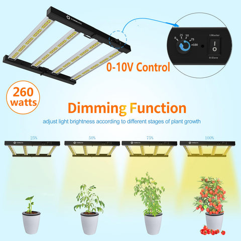 Farmlite indoor plants under full spectrum for healthy seedlings.