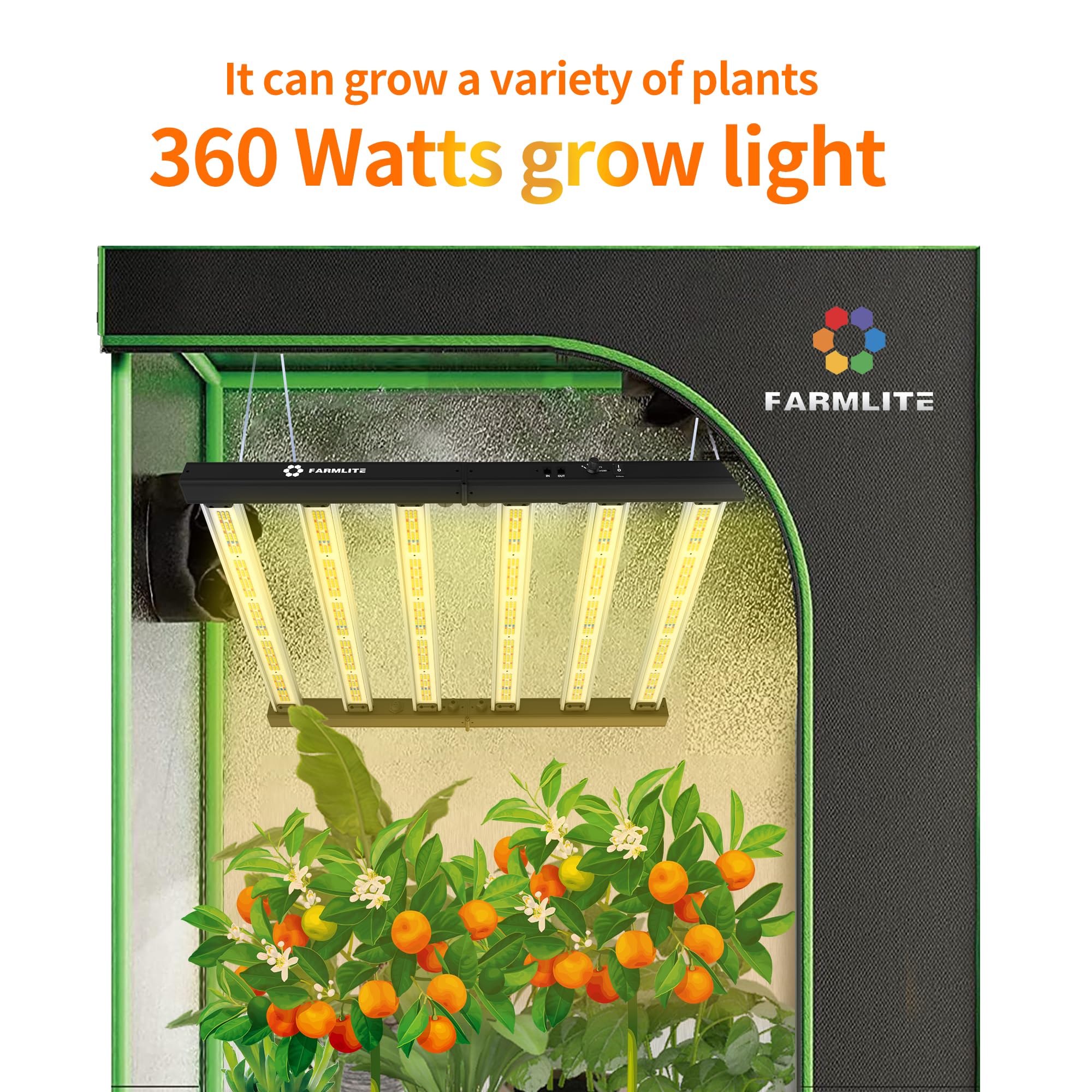 FARMLITE master-slave configuration for scalable greenhouse lighting