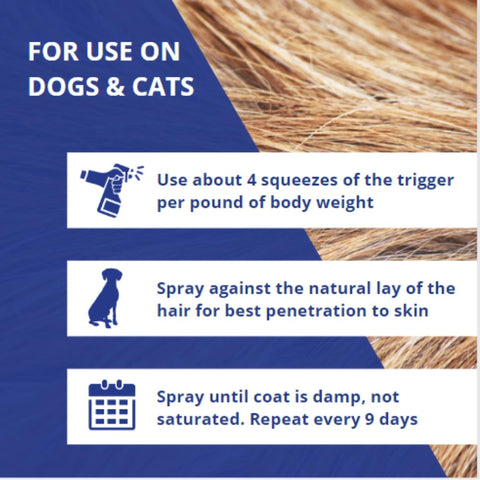 Farnam Flys-Off applied on a dog's coat to deter insects.
