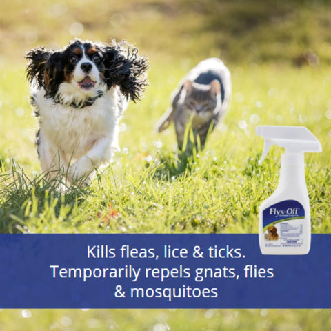 Farnam Flys-Off pump spray in use for fast pet pest protection.
