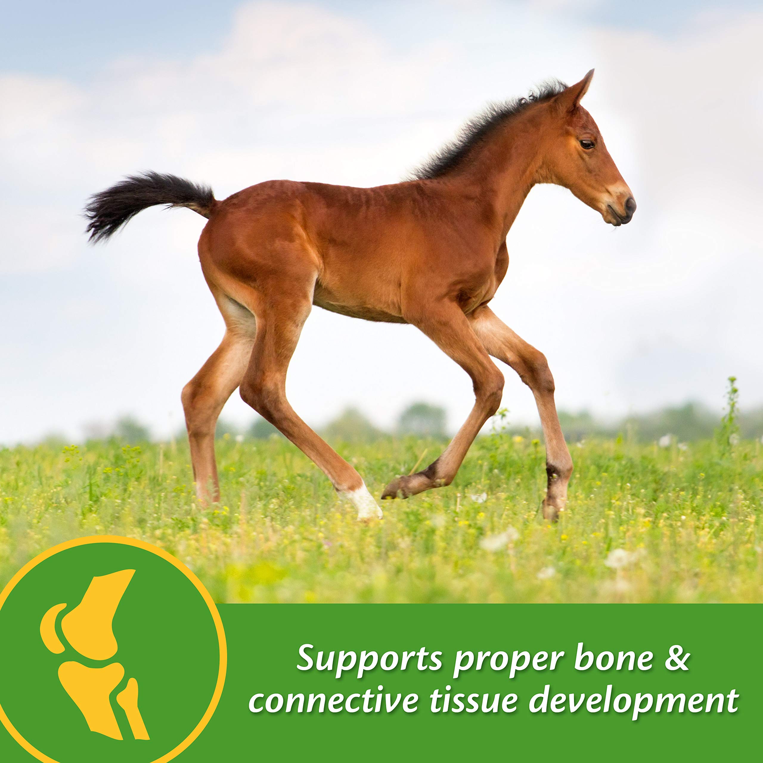 Farnam Grow Colt with calcium to phosphorus balance for healthy bone development in foals