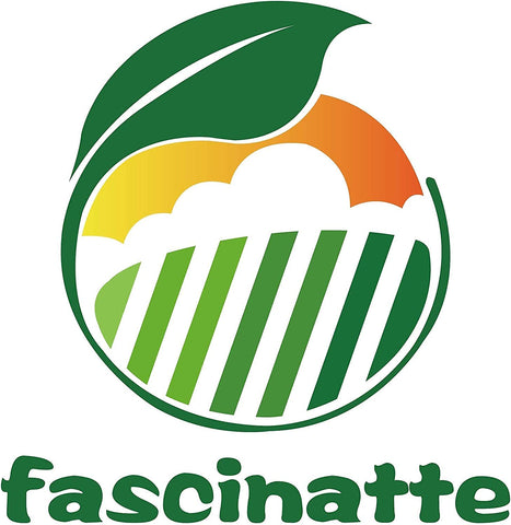 Fascinatte easy-install image suggests straightforward replacement process