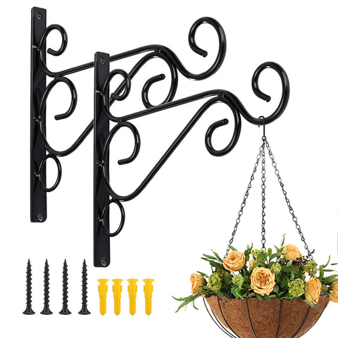 Fashion&cool hanging plant bracket showing sturdy iron wall mount for indoor and outdoor displays.
