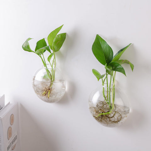 Fashionstorm glass propagation station closeup highlighting clear hand-blown craftsmanship for premium decor