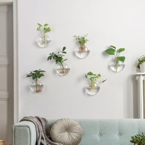 Fashionstorm transparent borosilicate glass ideal for hydroponics and air plants