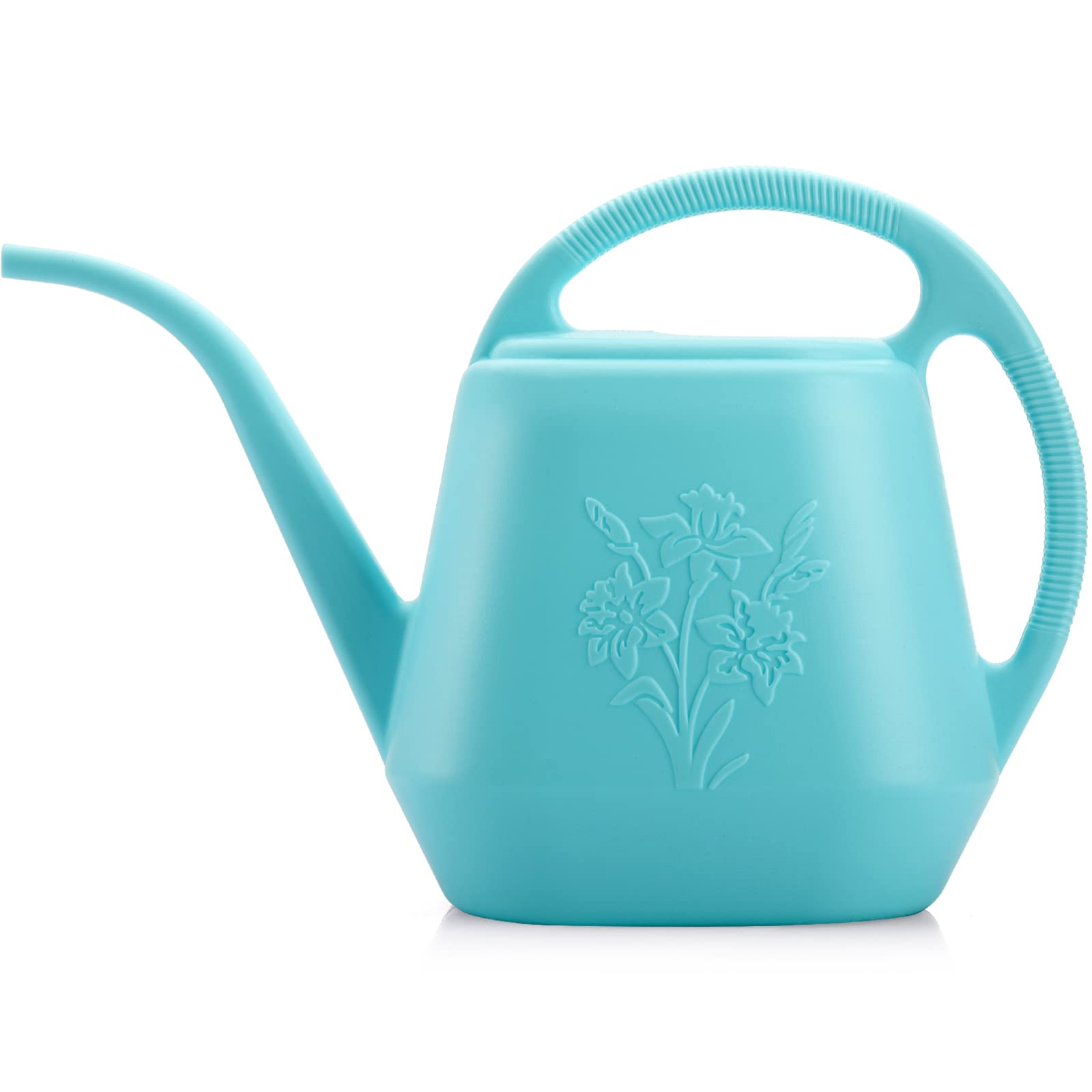 Fasmov 1-gallon watering can with long spout for precise watering.