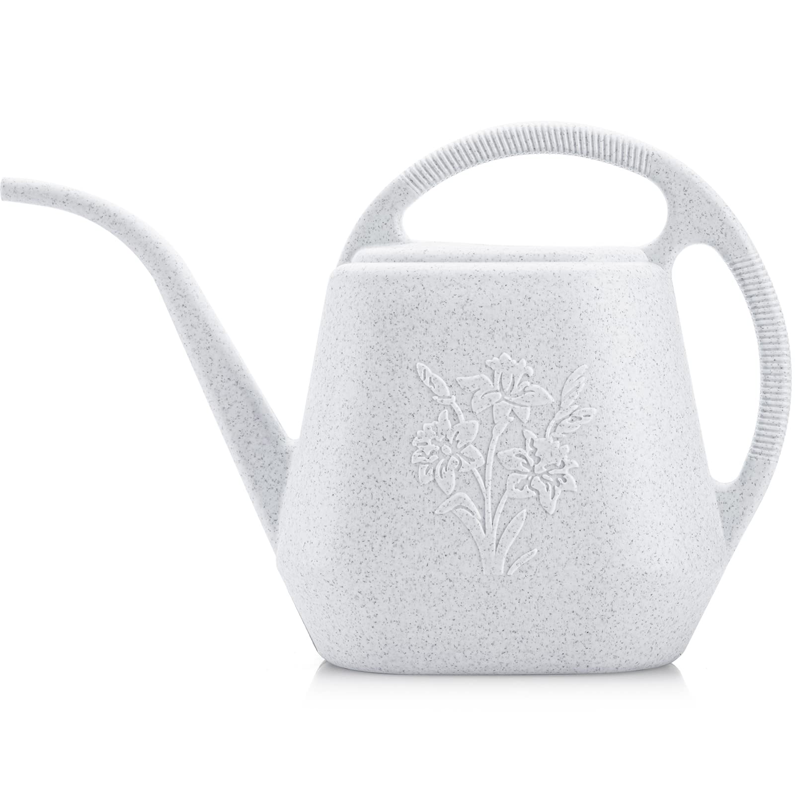 Fasmov 1-gallon watering can with long spout for precise indoor and outdoor watering.