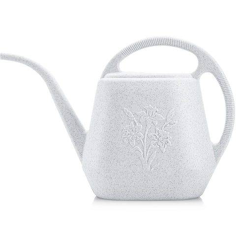 Fasmov 1-gallon watering can with long spout for precise indoor and outdoor watering.