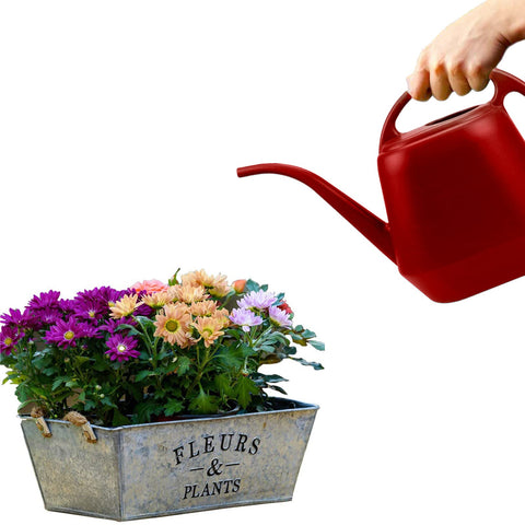 Fasmov Burnt Red durable plastic withstands regular watering tasks.