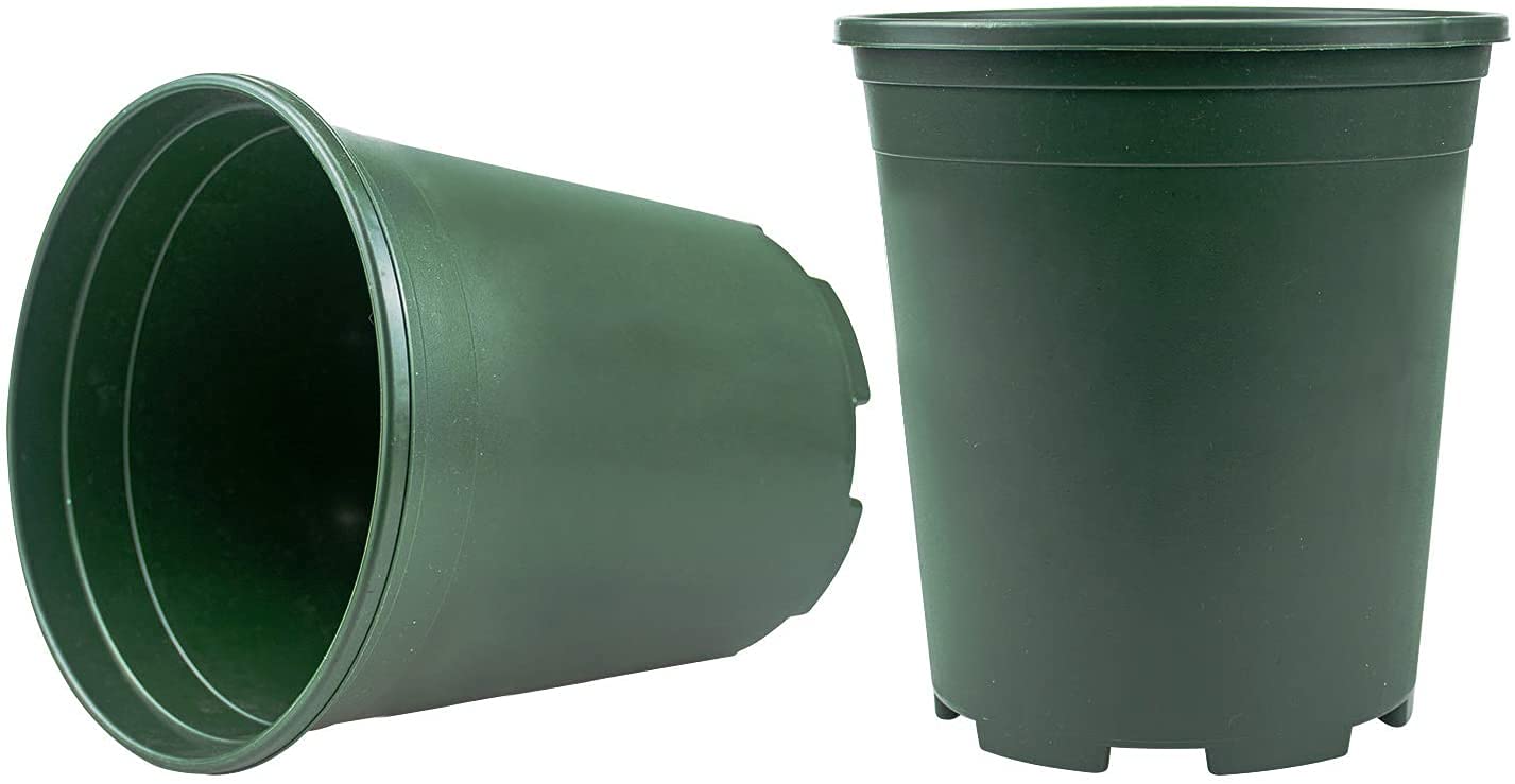 Drainage holes in Fasmov pot promote healthy root drainage.