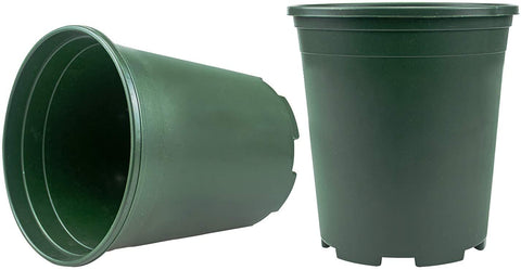 Drainage holes in Fasmov pot promote healthy root drainage.