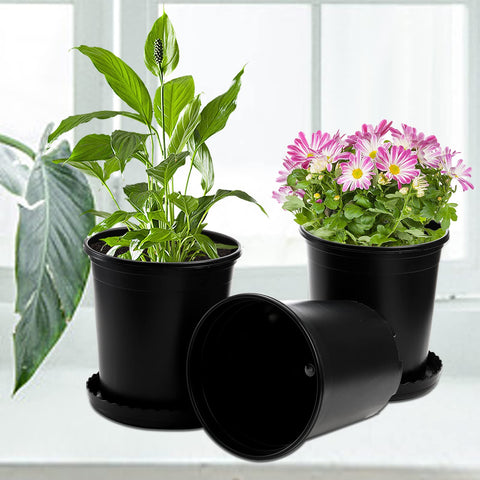 Pots feature drainage holes to prevent overwatering indoors or outdoors.