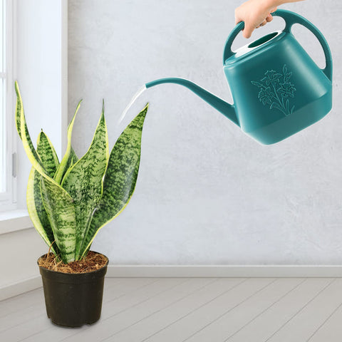Fasmov durable plastic watering can designed for longevity and everyday use.
