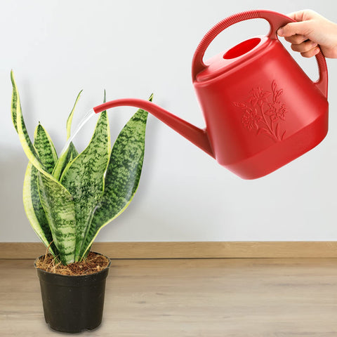 Fasmov compact burnt red design adds style and practicality.