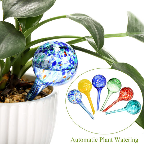 Fasmov glass self-watering bulbs for indoor outdoor use.