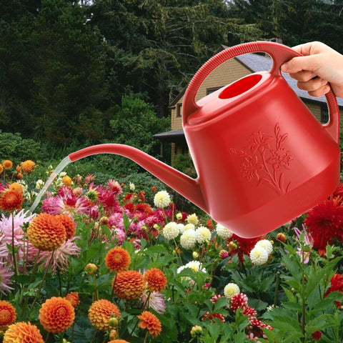 Fasmov watering can suitable for indoor and outdoor plants.