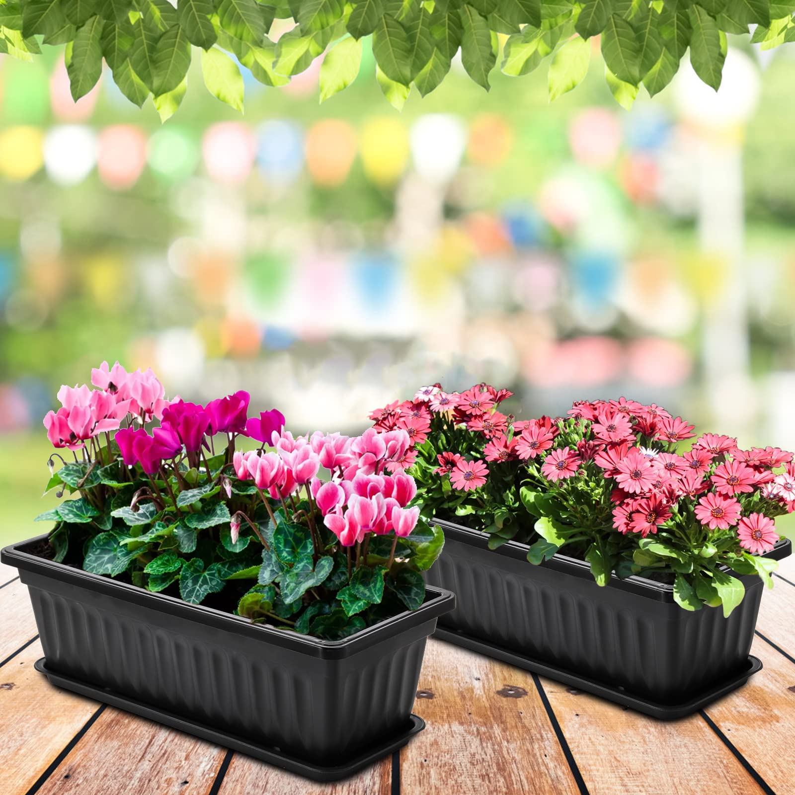 Fasmov multi-plant display ideas for seasonal arrangements